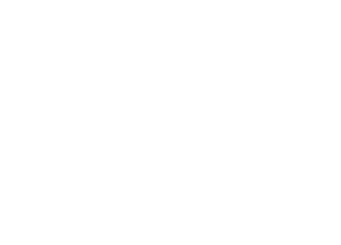 Speech bubbles in different languages